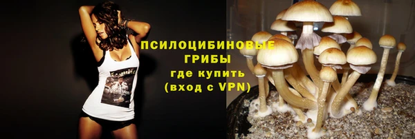 СК Абдулино